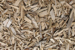 biomass boilers Shenstone Woodend